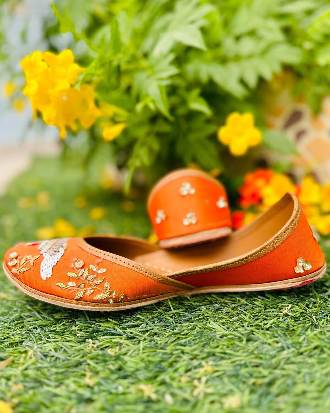 Marigold Swan (jutti)