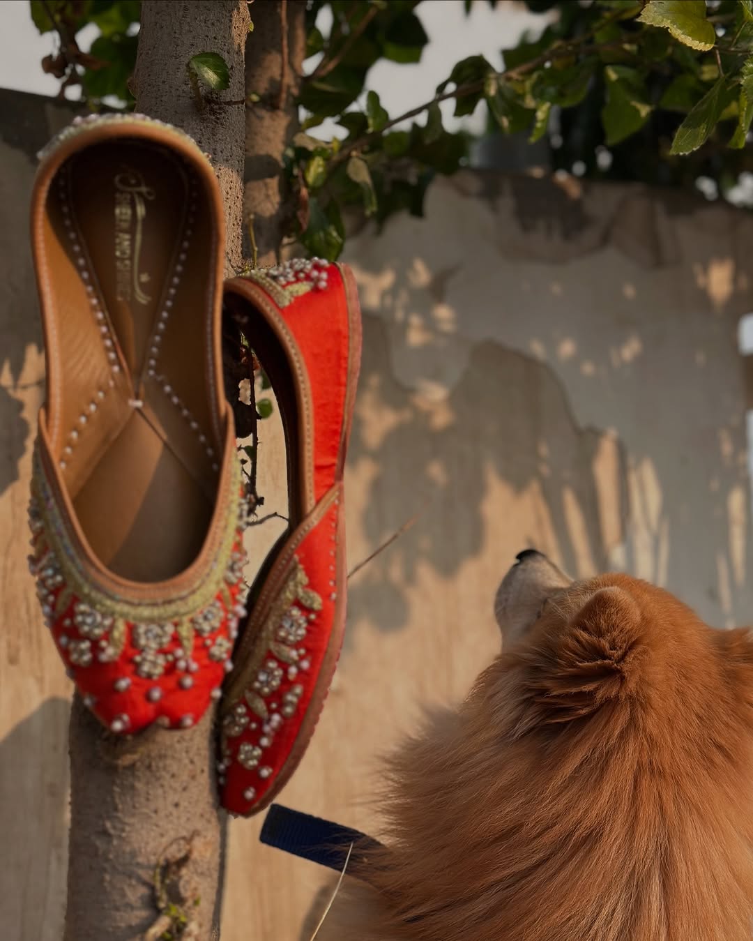 Red & Gold Embroidered Punjabi Jutti